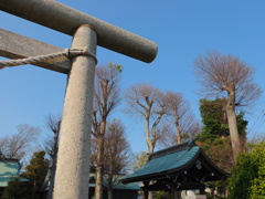 よく晴れた神社