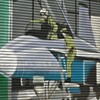 アートなシャッター