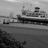 公園から見た氷川丸：山下公園 横浜