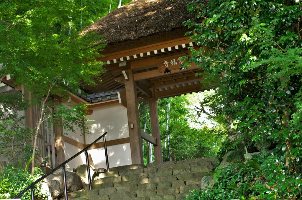 常福寺：山門