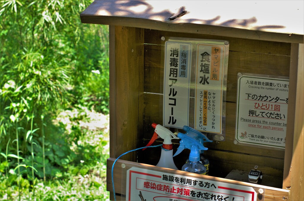 丹沢山系への入り口