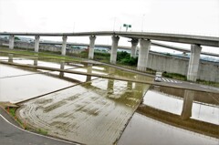 インターチェンジと水田