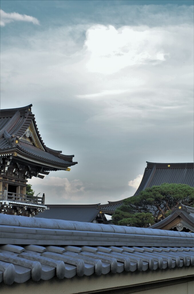 宋珪寺：山門と本堂と瓦屋根の塀