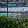 廃プール