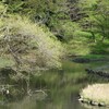 野生動物のサンクチュアリ：立ち入り禁止