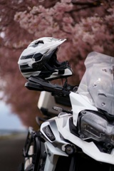 早咲き桜とバイク3