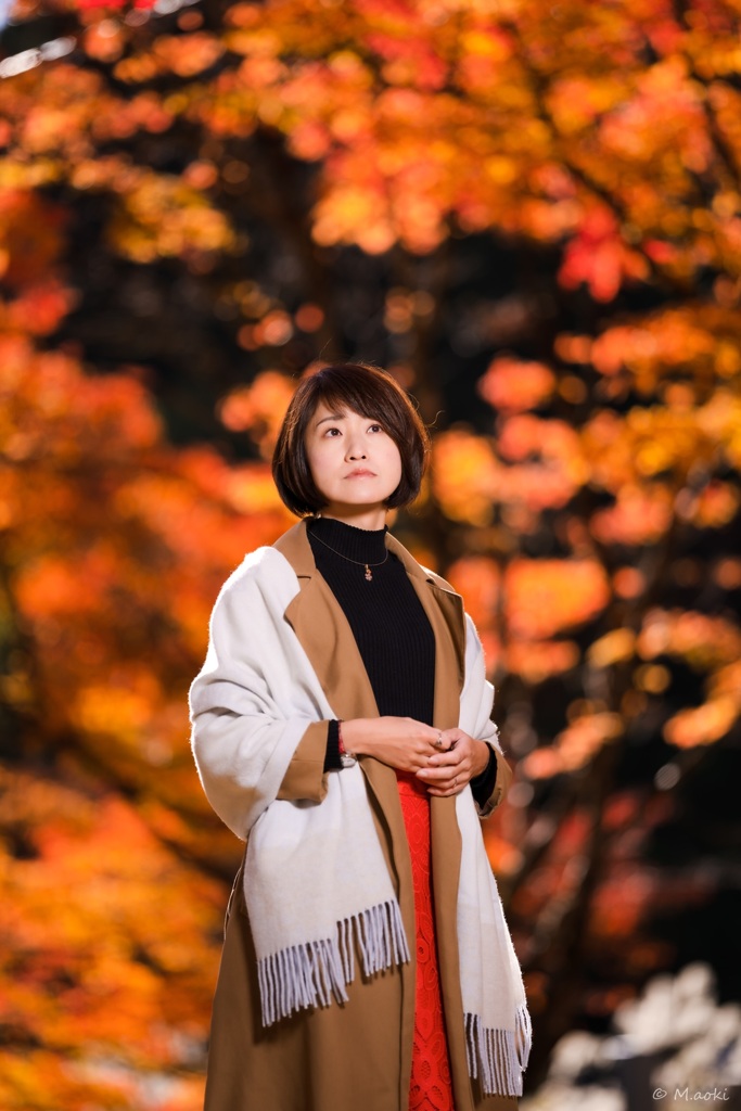 高野山の紅葉で