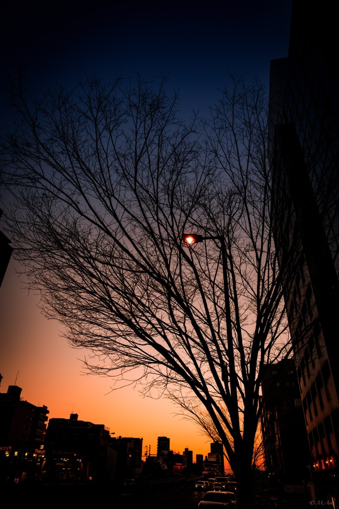夕さり
