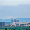 薄霧に浮かぶ丹沢山地と富士山