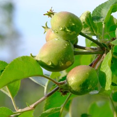 IMG_20200611_191308_005