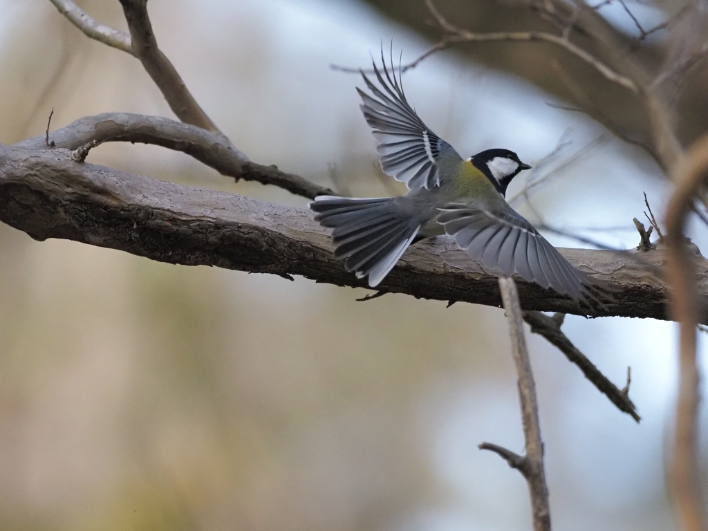 これくらいの高感度で十分