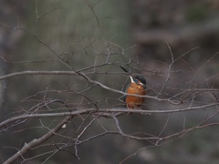 938CE877-A3CA-4FFC-9FB4-74F97D844F15