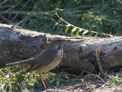 A5D9E661-D943-4654-BE0D-F0E30CD5CAED