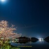 星景桜　浜名湖パルパル