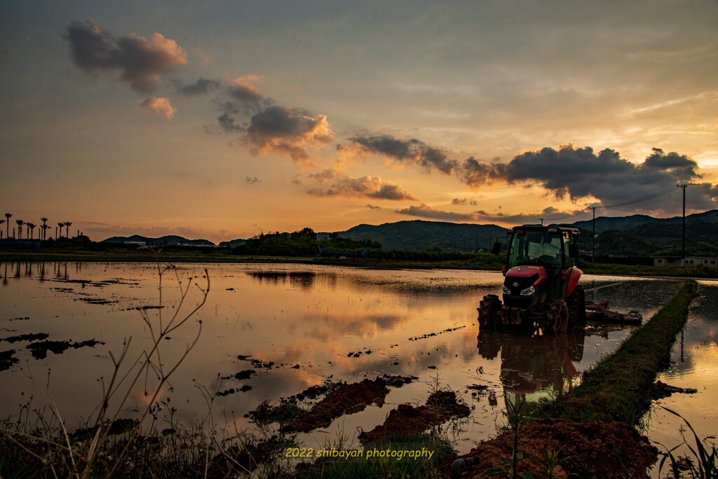 【HDR】夕暮れ水田