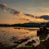 【HDR】夕暮れ水田