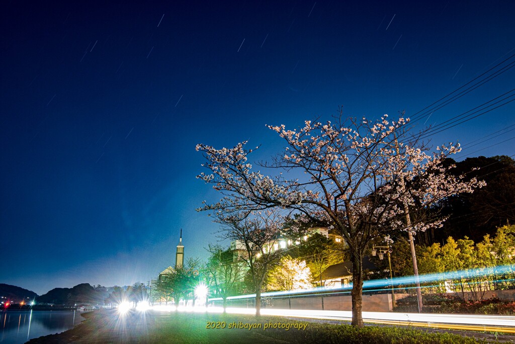 星景桜レーザービーム