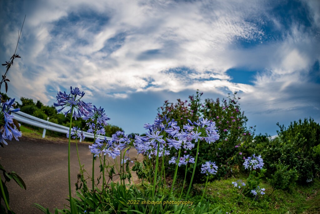 SIGMA 15mm F2.8 EX DG FISHEYE TESTSHOT2