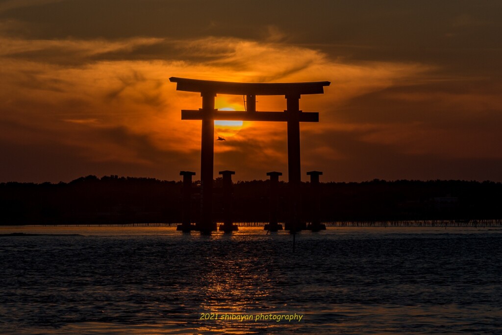 鳥居サンセット