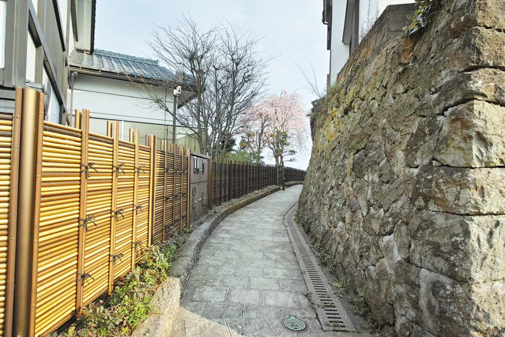 情緒ある道
