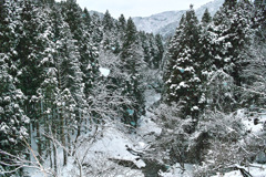 山にちらりと降る雪