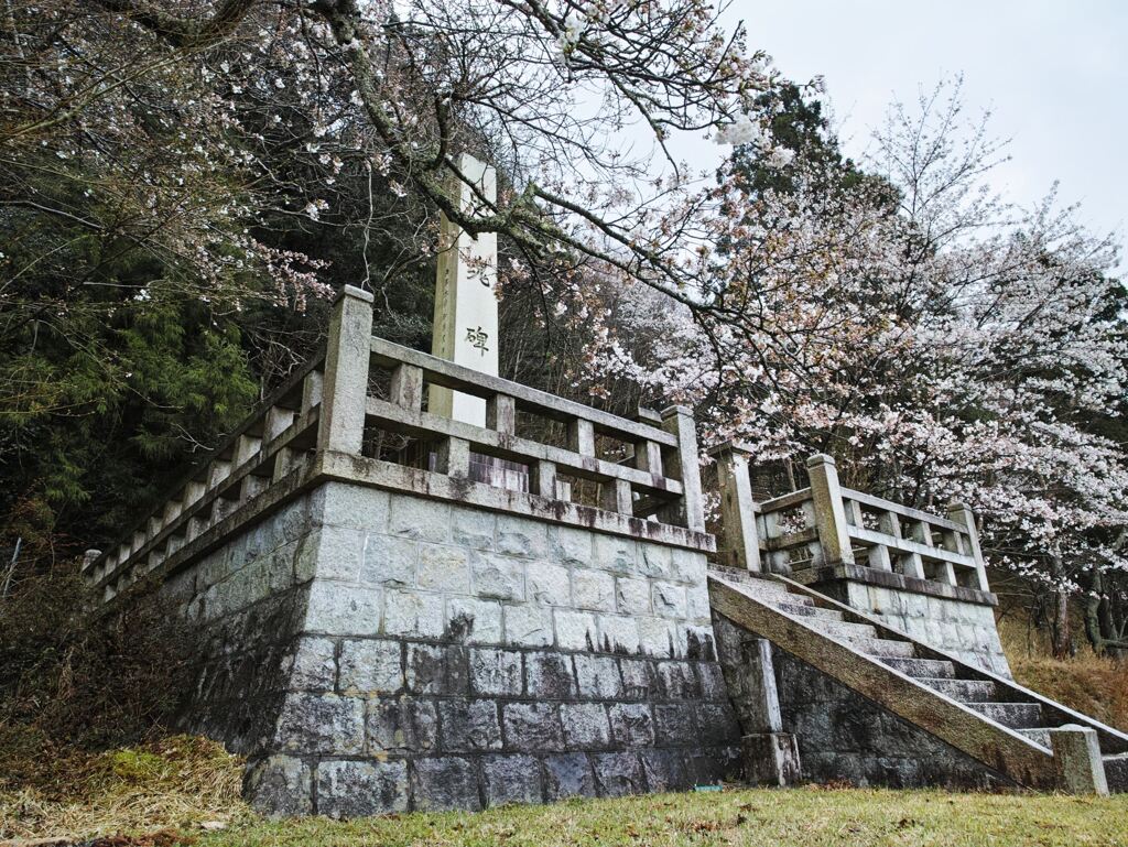忠魂碑と桜