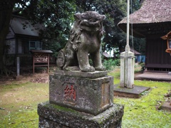 OI000430-01