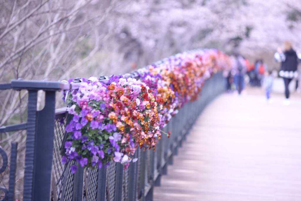 希望への道