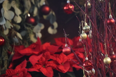 Christmas evening