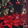 Christmas evening