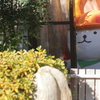 待ちわびて