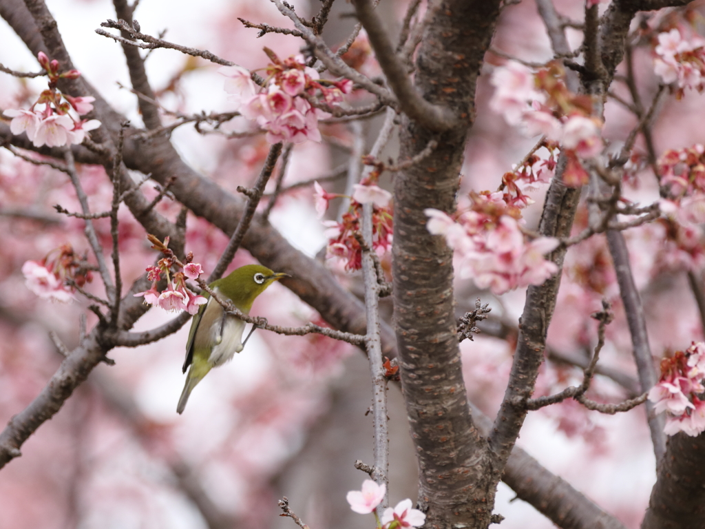 うん～しょっと