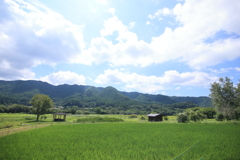 高原の朝