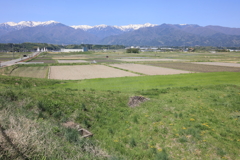 5月の風