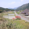 根尾谷の春　地震の跡