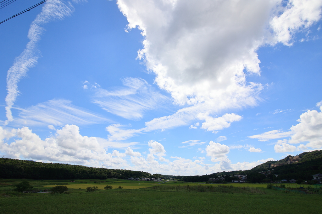 秋空のような？