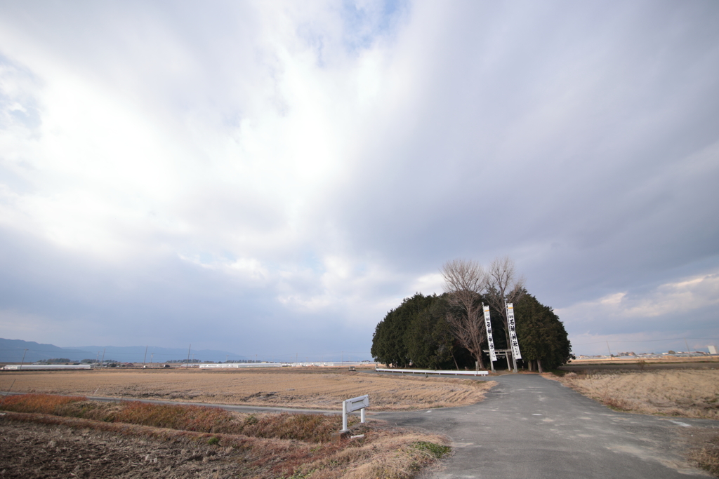 鎮守の森の正月