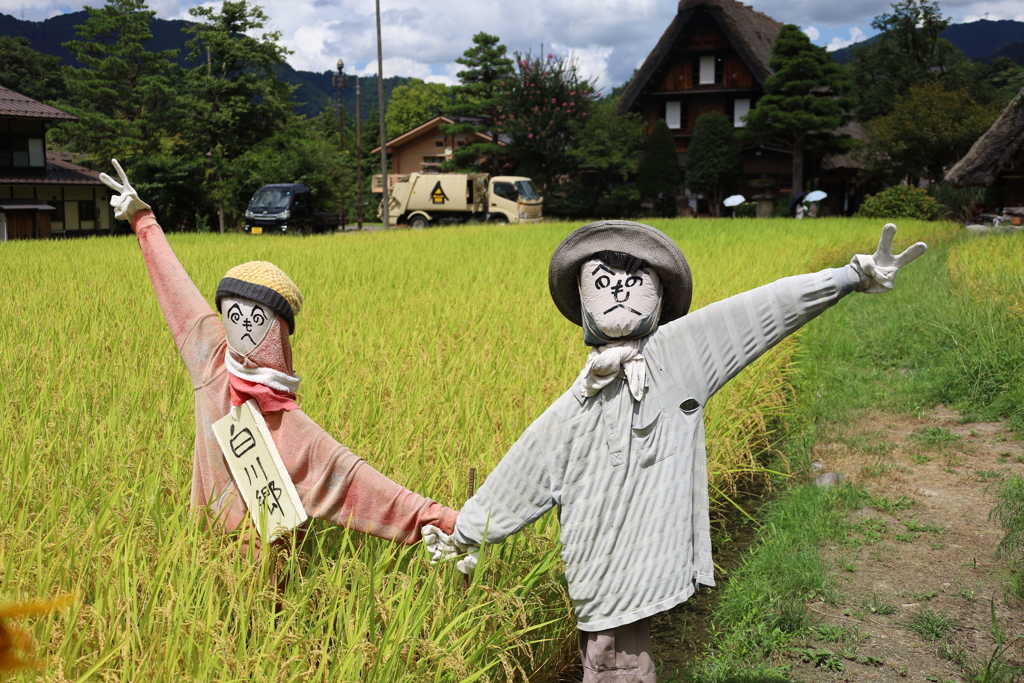 収穫前の記念写真