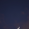 月と金星