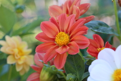 パステルカラー