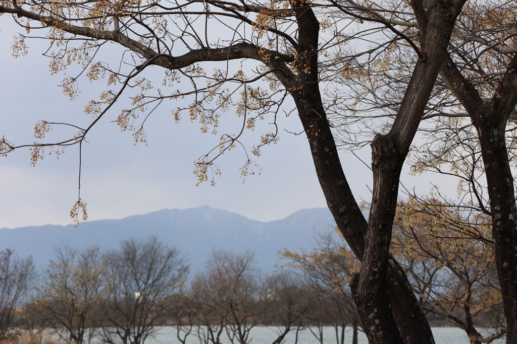 冬の木曽川