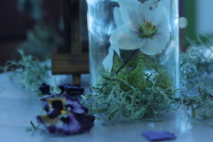2月ラスト