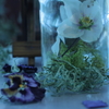 2月ラスト