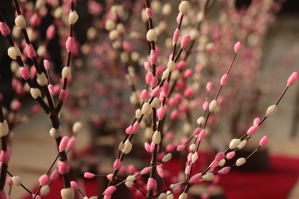 花餅