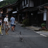 中山道　妻籠宿の客引き猫　Ⅲ