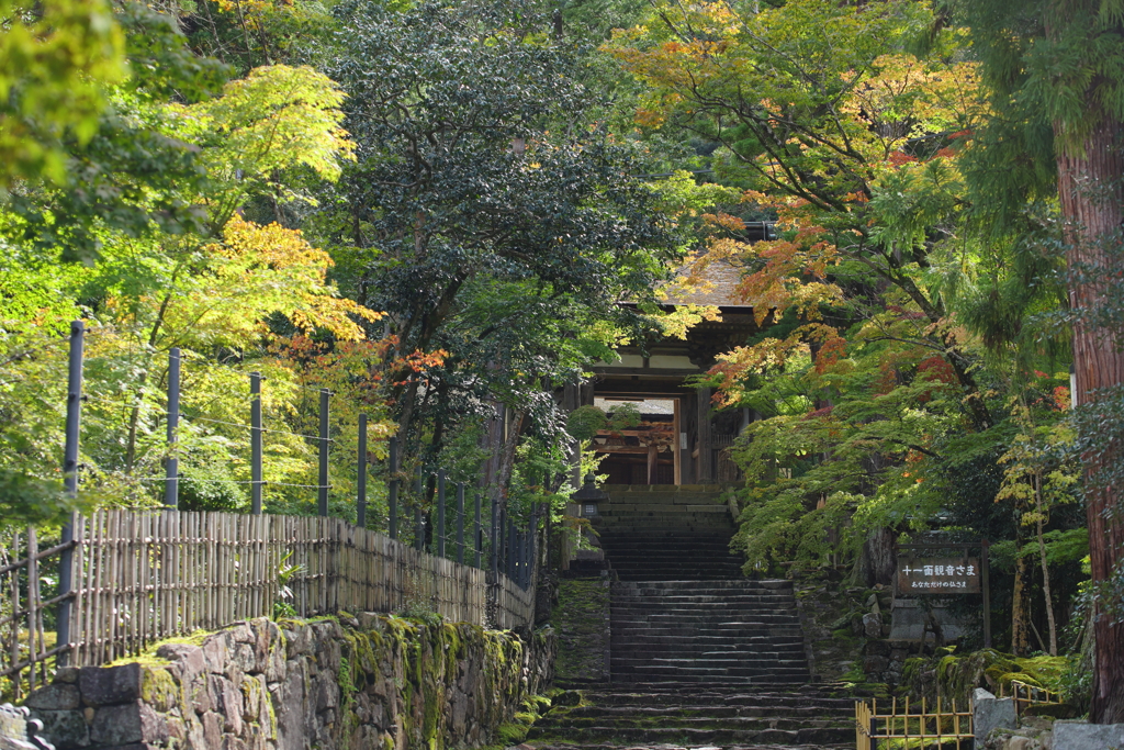 湖東三山　西明寺