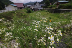 山村の彩