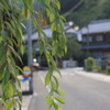 暑くても元気なとび太くん
