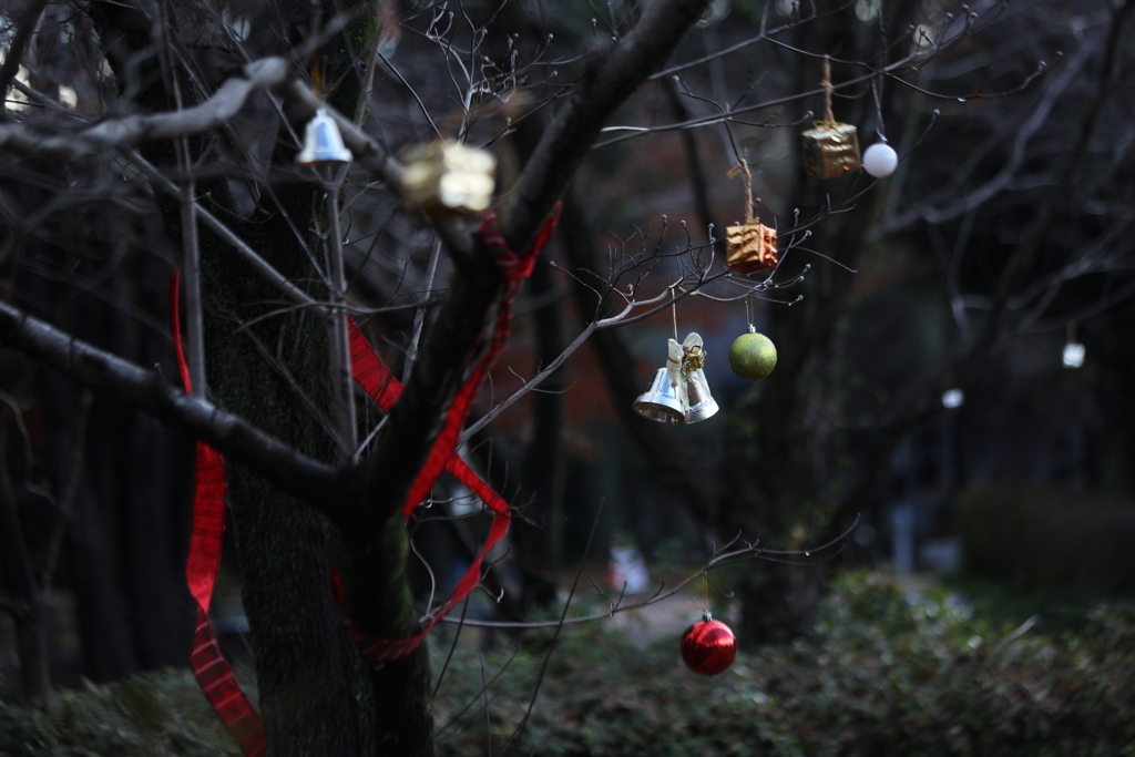 待ち遠しいサン太の贈り物