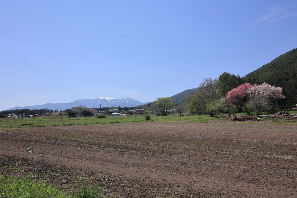 5月の風